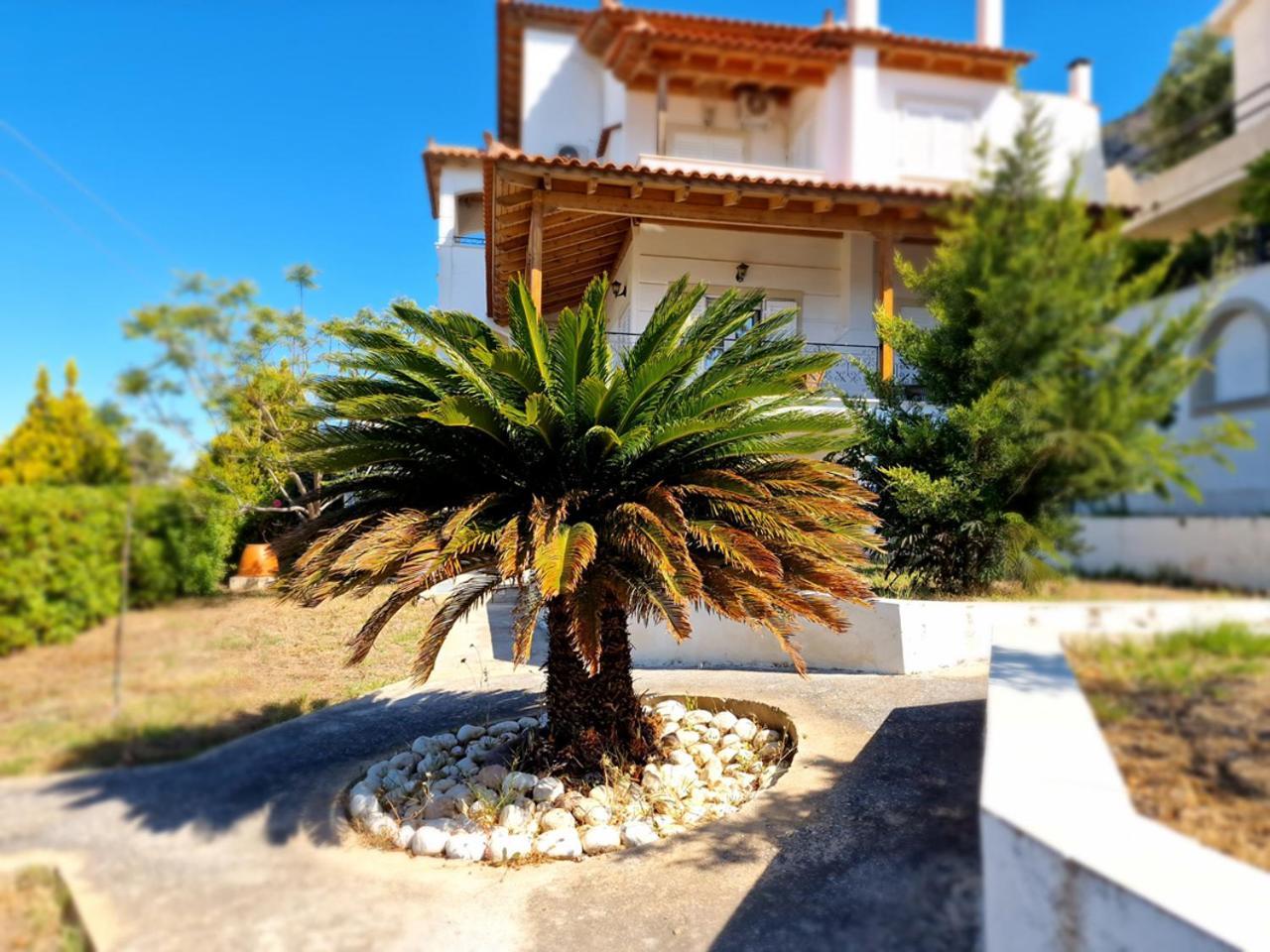 The Mirador Boutique Villa With Scenic Sea View Pórto Ráfti Exteriér fotografie